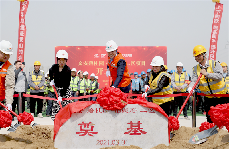 2021年3月31日，由北京集团承建的碧桂园·铂樾府二区工程正式开工，携手建设单位、监理单位一同在项目部举行了隆重的奠基仪式。